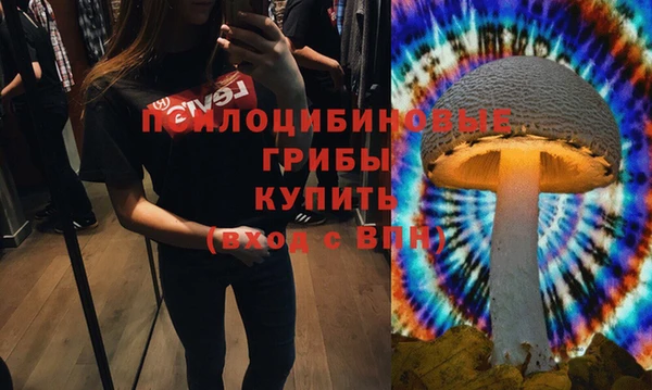 трава Костерёво