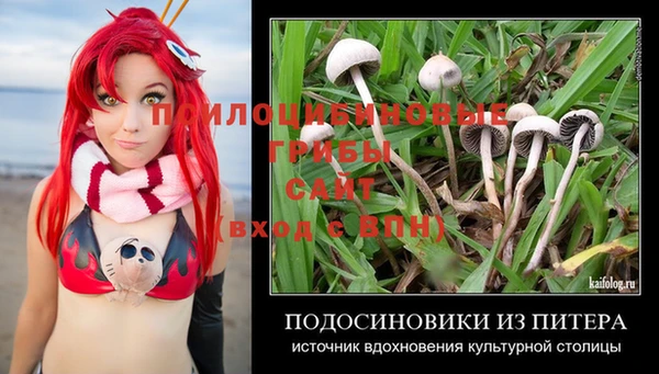 трава Костерёво