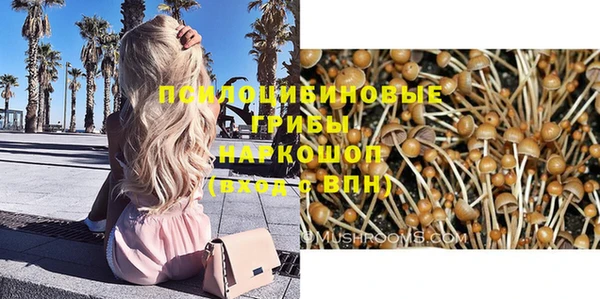 трава Костерёво
